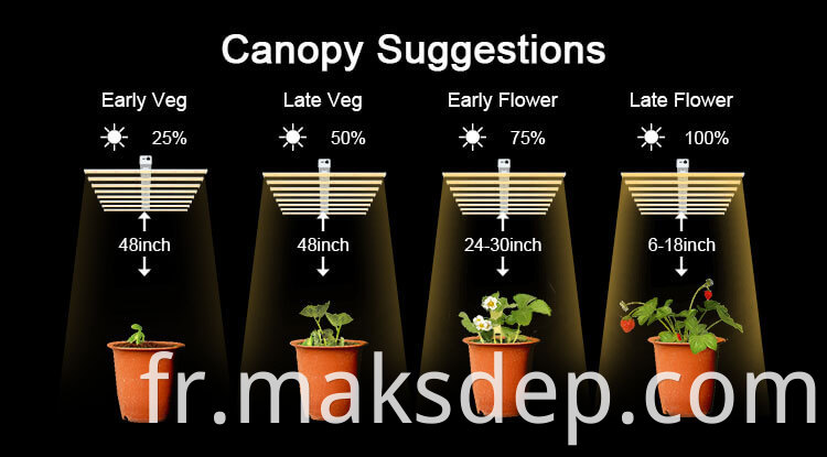 commercial grow lights for a greenhouse